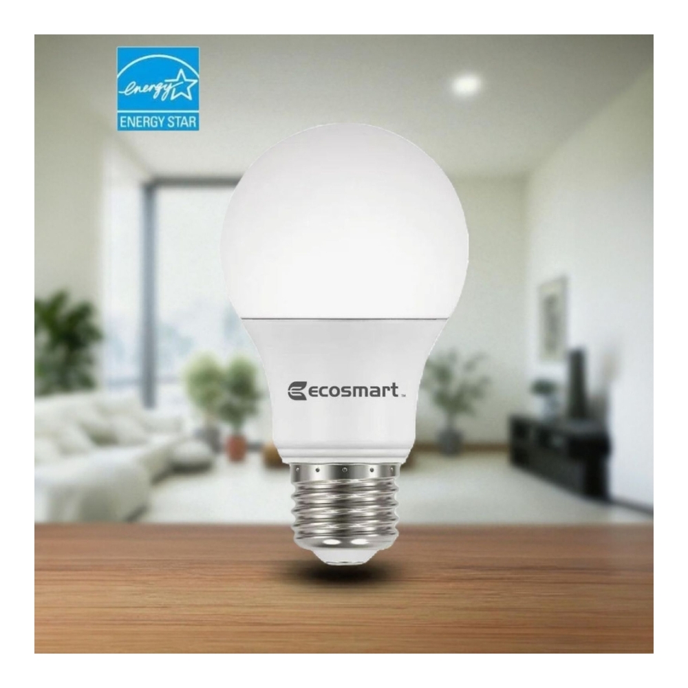 EcoSmart White Light Bulb 60-Watt Equiv Daylight Non Dimmable A19 LED- 5000K 4pk